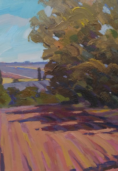 Autumn is coming soon by Sergey  Kachin