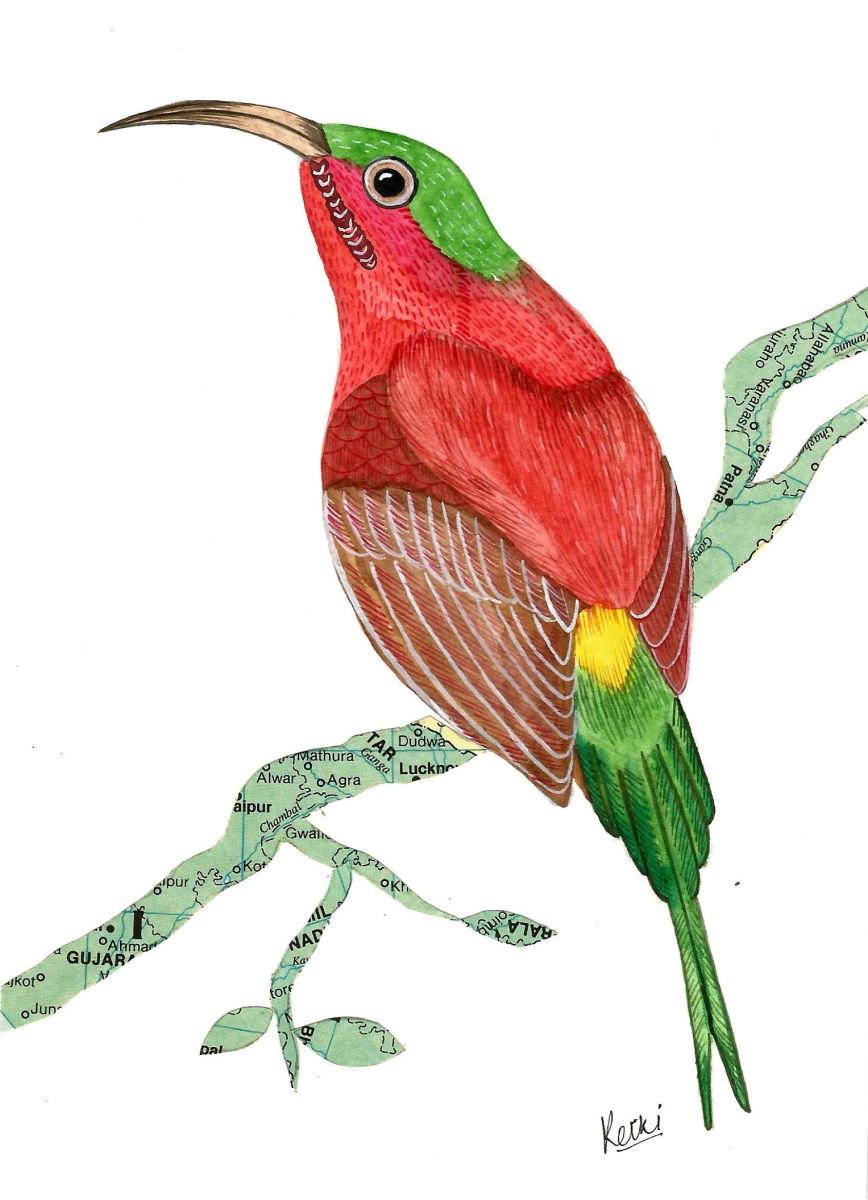 Crimson Sunbird by Ketki Fadnis
