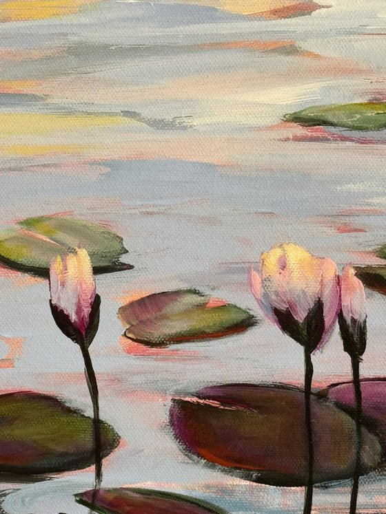 Water Lilies Land 1