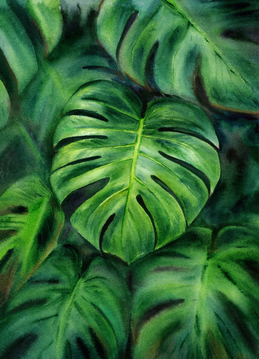 Impressionistic Watercolour , Monstera By Maryna Boiko, 12 X 16, Artwork For Sale On Artfinder