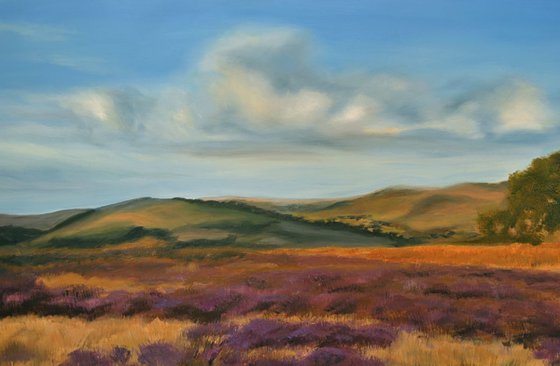 Lavender field 3