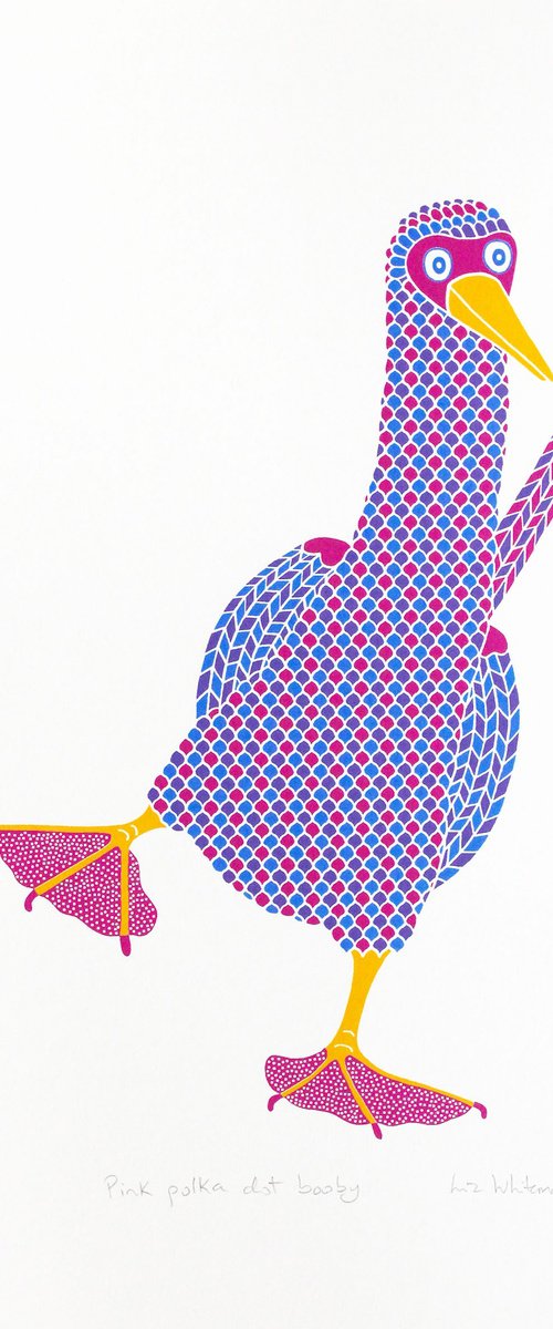 Pink polka booby by Liz Whiteman Smith