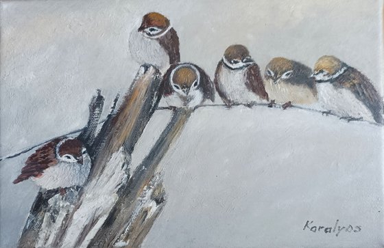 Sparrows