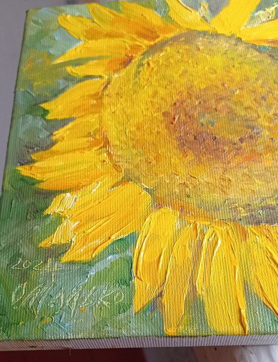 Sunflower. Flower sketch