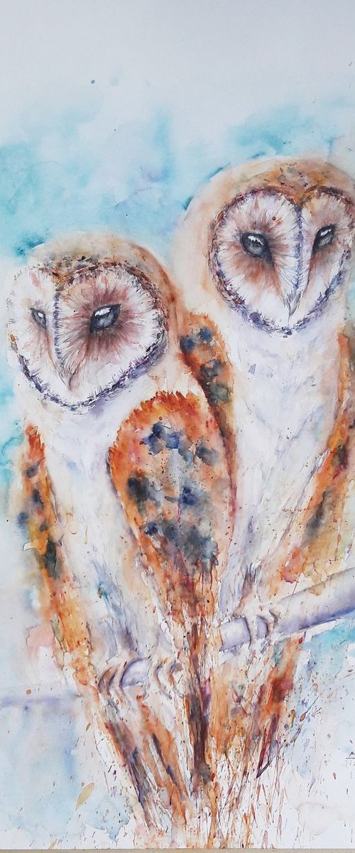 Owls by Sveta Hubmann