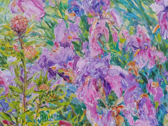 Irises in the light of the wind.
