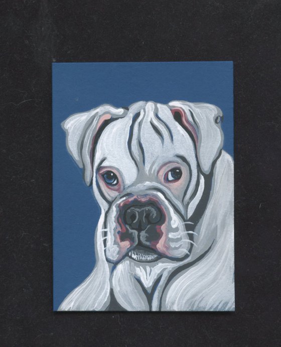 ACEO ATC Original Miniature Painting  Boxer Pet Dog Art-Carla Smale