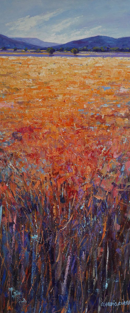 Landscape by Claudio Ciardi