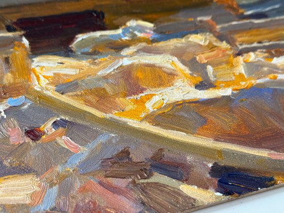 Sheep in the Carpathians