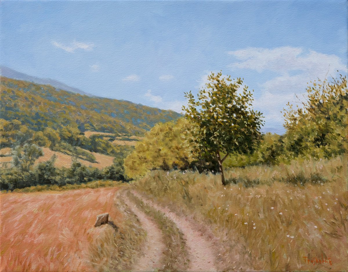 Impressionistic Landscape Oil Painting By Dejan Trajkovic, 18 X 14, Through The Trough, Original Artwork