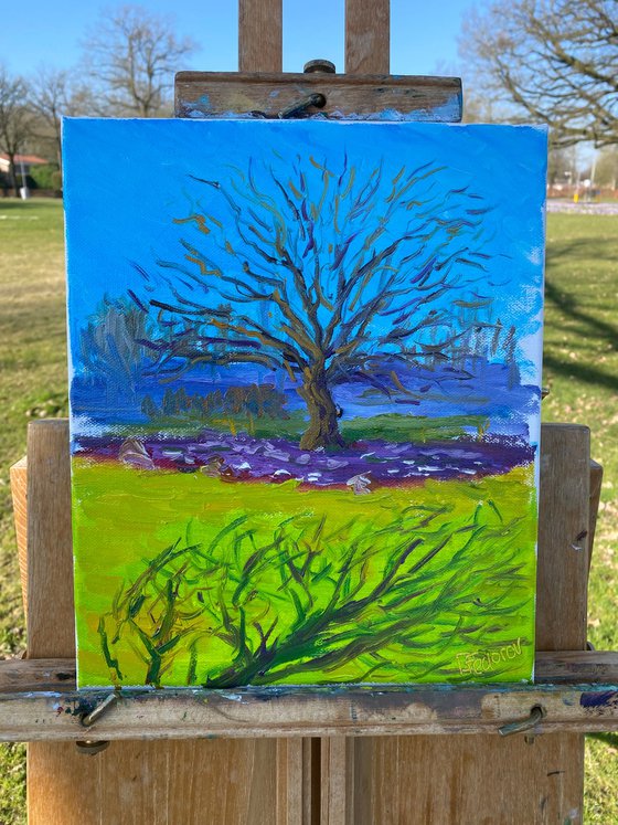 Spring flowers under the tree