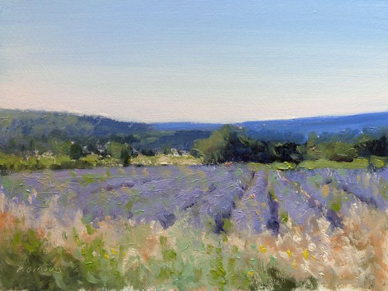 Lavender Fields in Drôme Provençale