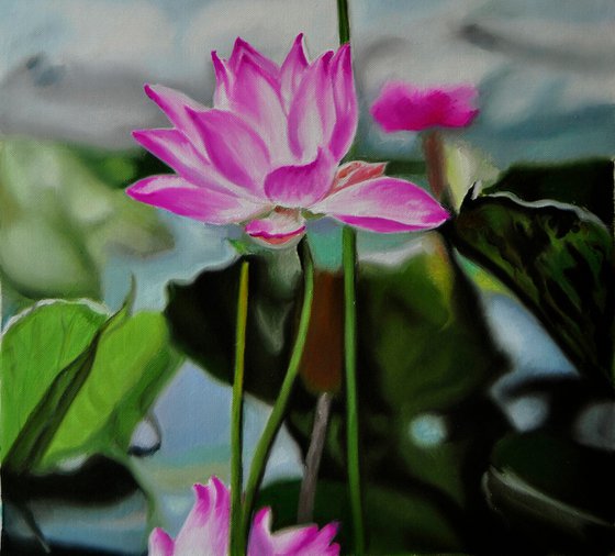 Water lilies II