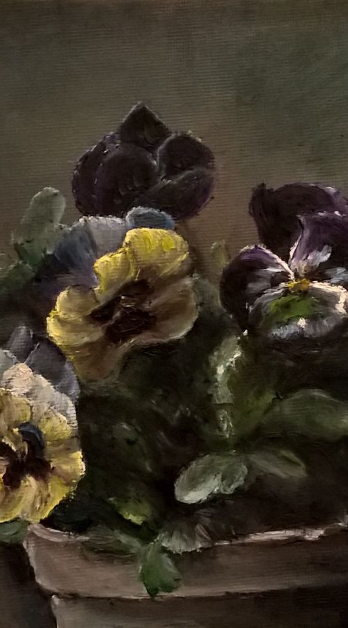 Pansy by Viktória Déri
