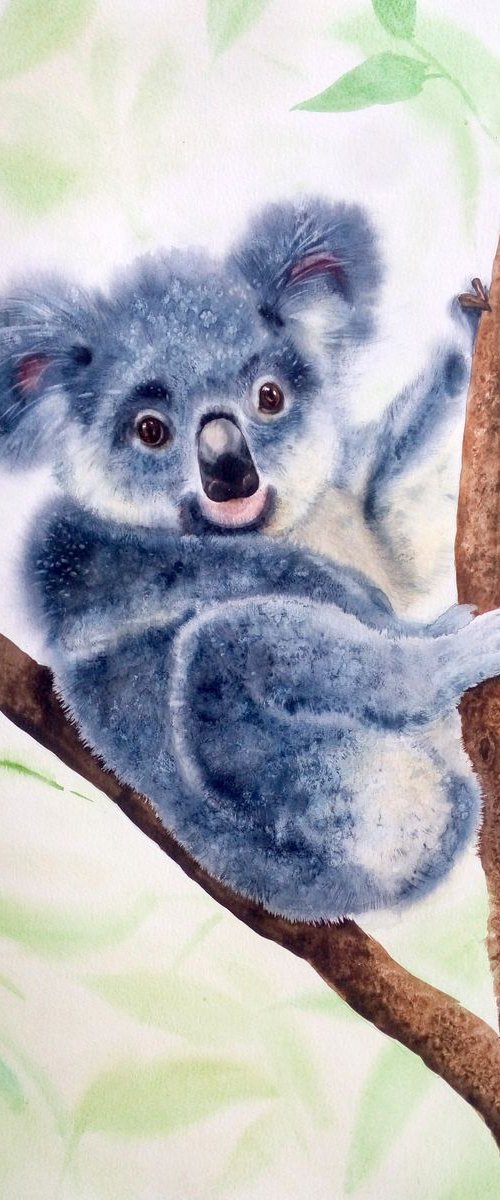 Cute Koala – Watercolor Koala, by Olga Beliaeva Watercolour