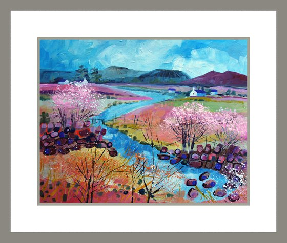 Springtime in the Dales