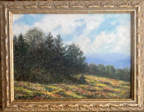 OCTOBER HILLTOP (SOLD)