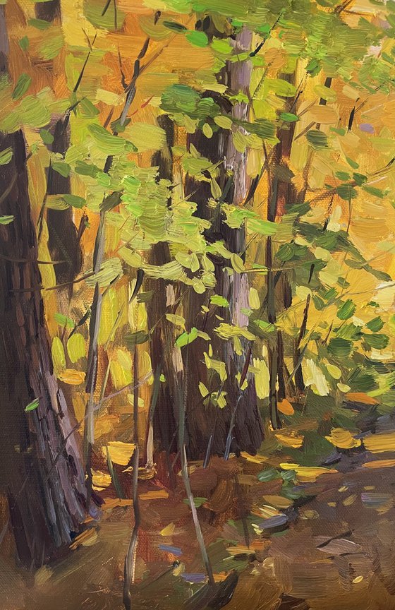 Autumn Forest Landscape