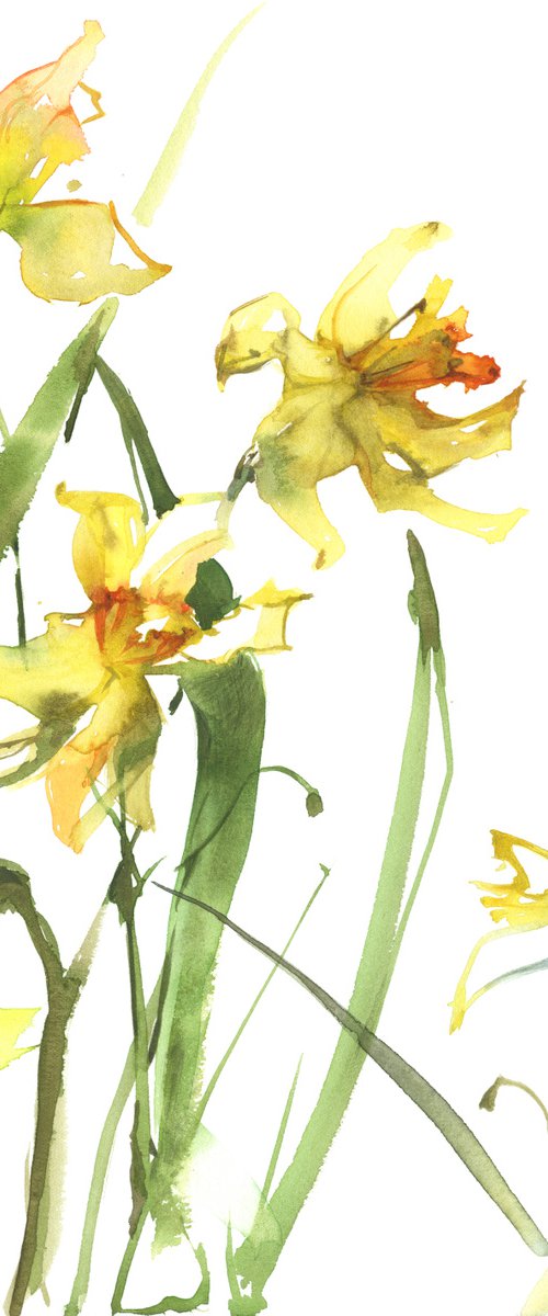 Yellow daffodils - 3 by Merite Watercolour