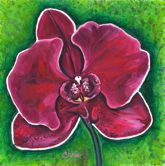 Magenta Orchid Flower