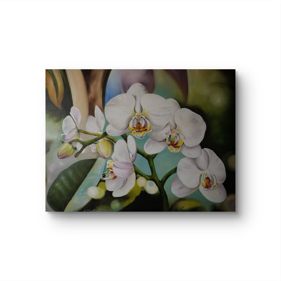 White Orchids Floral