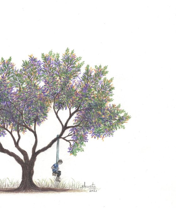 Purple Jacaranda