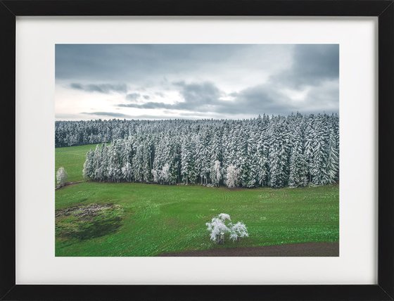 WHITE AND GREEN