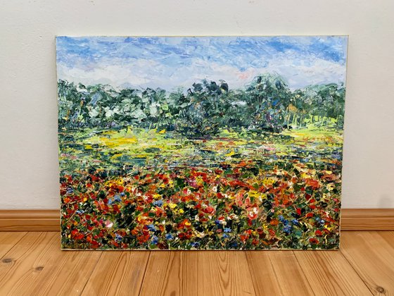Poppy field