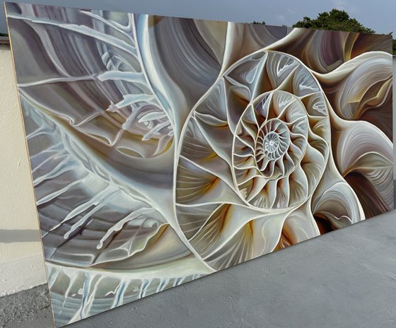 NAUTILUS POMPILIUS (VI)