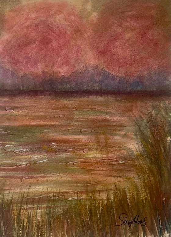 River Cerne blossoms, Dorset