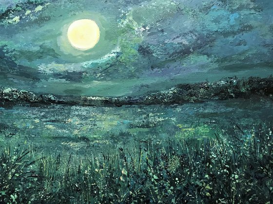 Moonlight on the Marsh