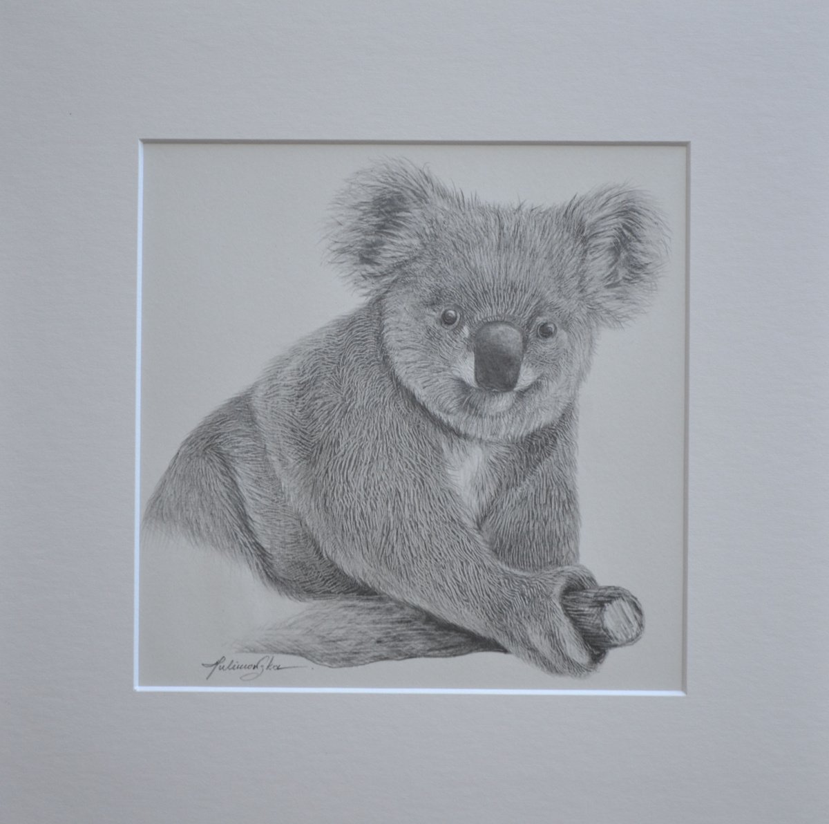 Koala by Maja Tulimowska - Chmielewska