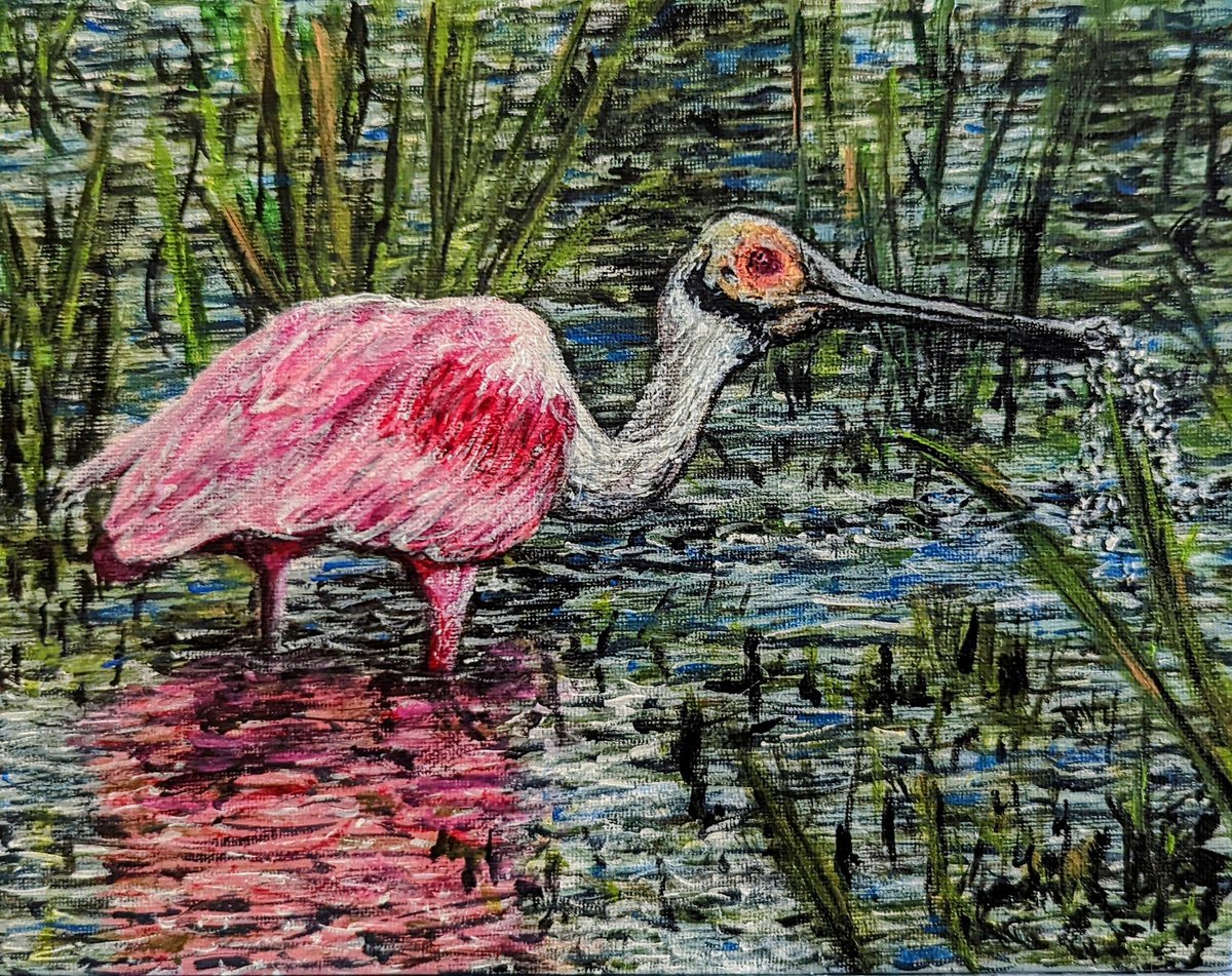 Spoonbill by Robbie Potter