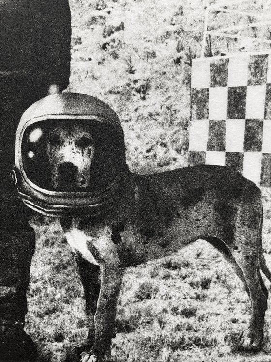 Terranaut I