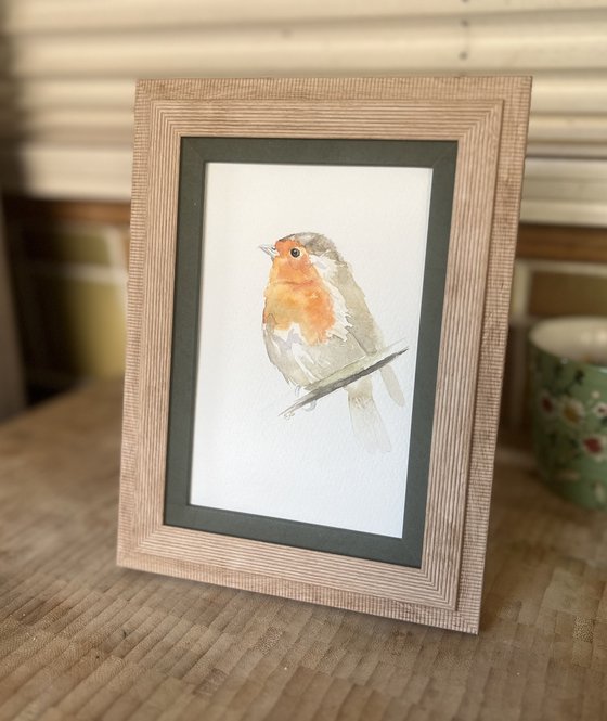 Little Robin Redbreast