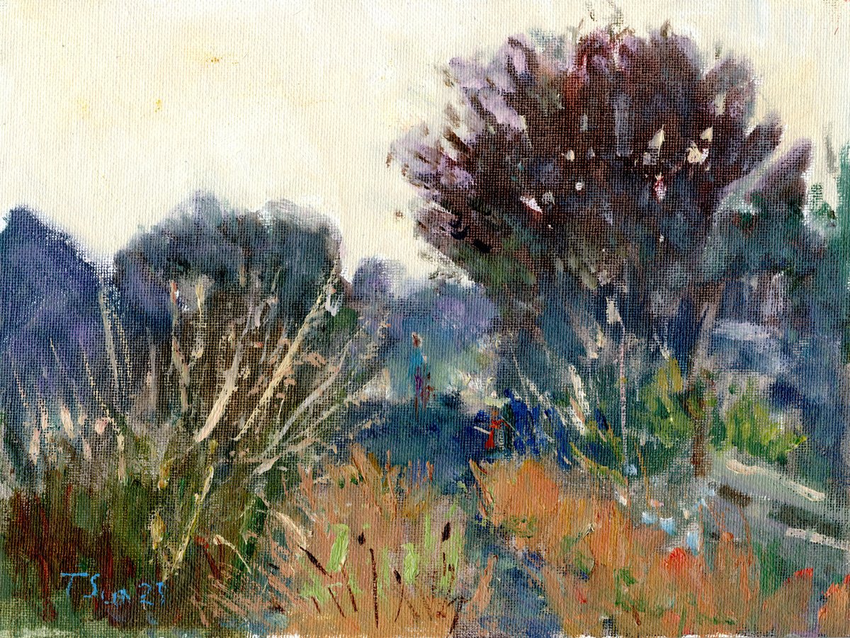At The Allotment, Hove. Uk By Tanya Sun, 9 X 7, Artwork For Sale On Artfinder