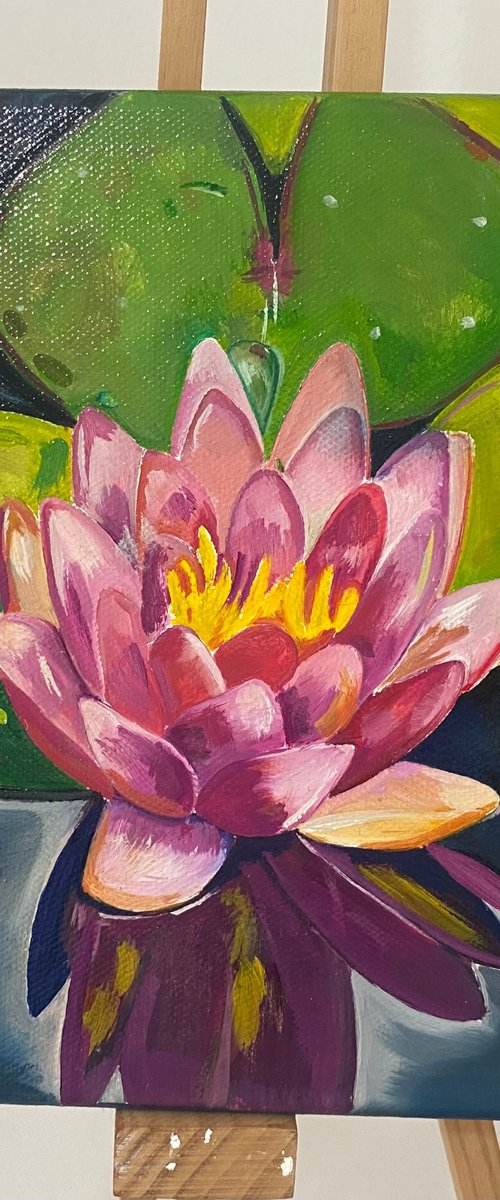 Lily and lily pads, oil painting by Bethany Taylor