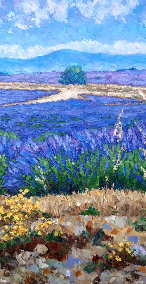 Lavender fields by Irena Heinz