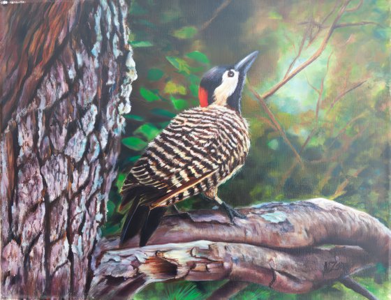 Woodpecker in the Forest