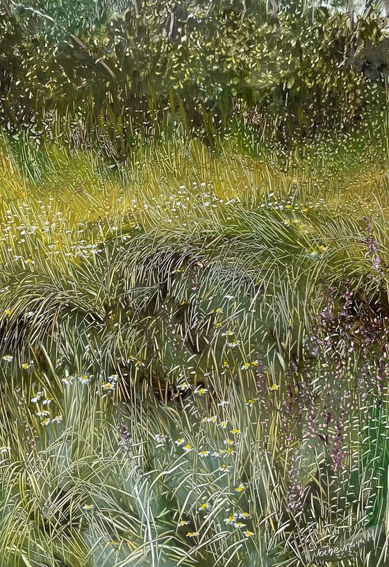 landscape with wild flowers