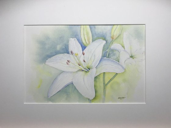 White lily