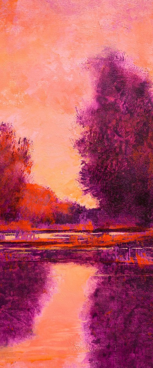Wetlands Sunset 250627 by Don Bishop