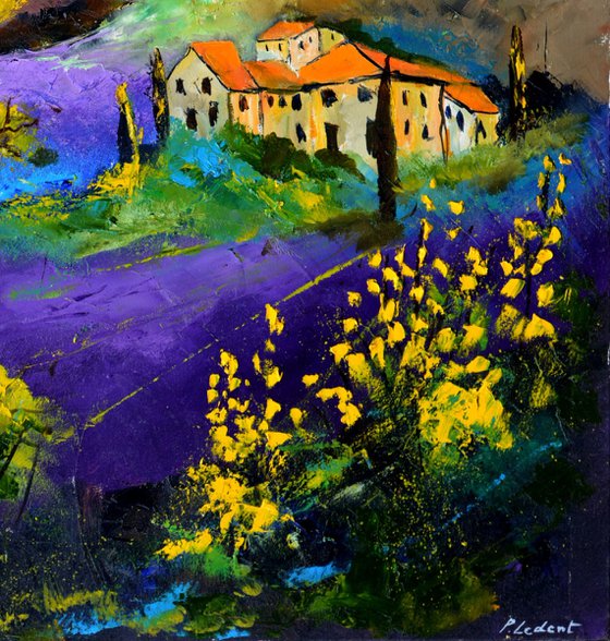 Lavender in Provence 7823