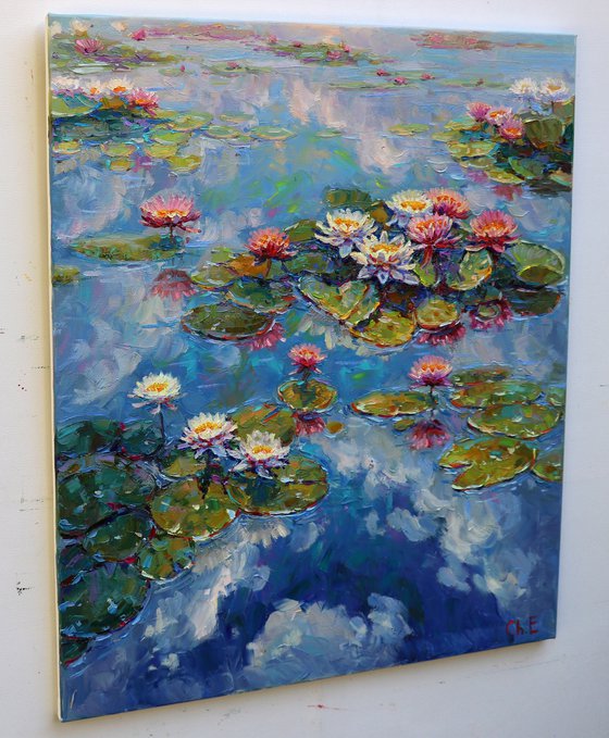 "Water lilies"