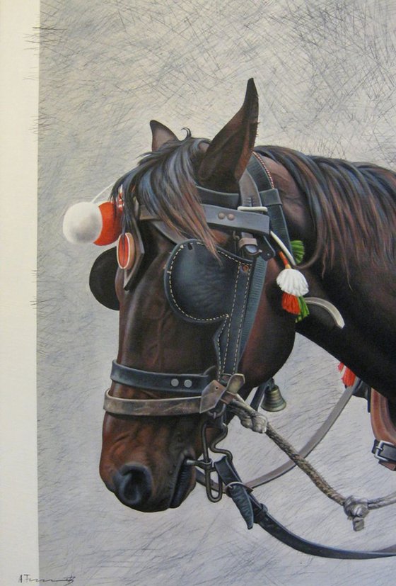 Horse Head with Blinkers