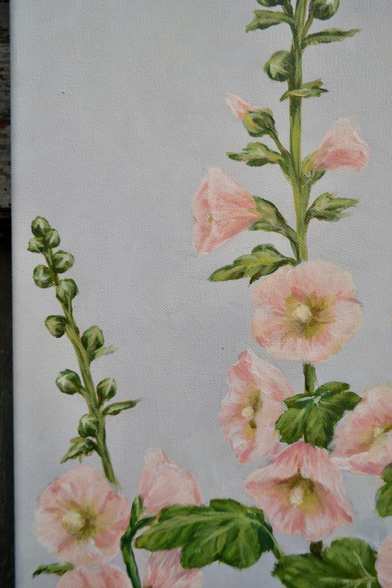 MALVA
