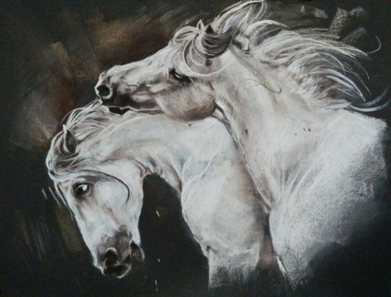 Wilde Horses