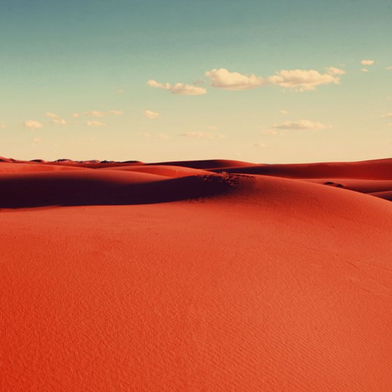 Desert dreams