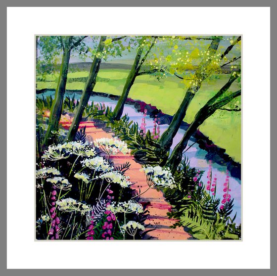 Cow Parsley by the Stream