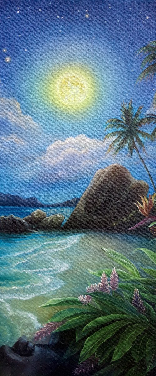 Moonlight night by Anna Steshenko